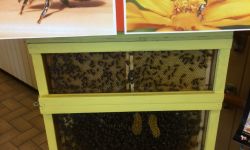 Forum Sport Sante   060